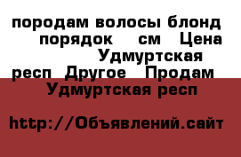 породам волосы блонд, 150 порядок, 60см › Цена ­ 10 000 - Удмуртская респ. Другое » Продам   . Удмуртская респ.